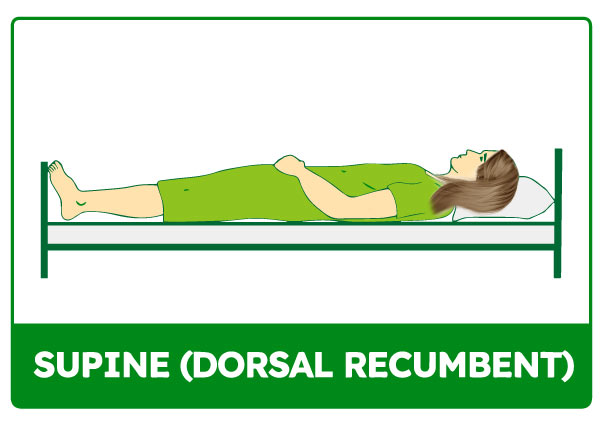 dorsal recumbent